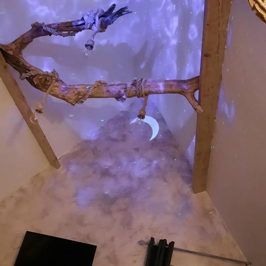 Le Nid'Ange Bed & Breakfast Torcy  Dış mekan fotoğraf